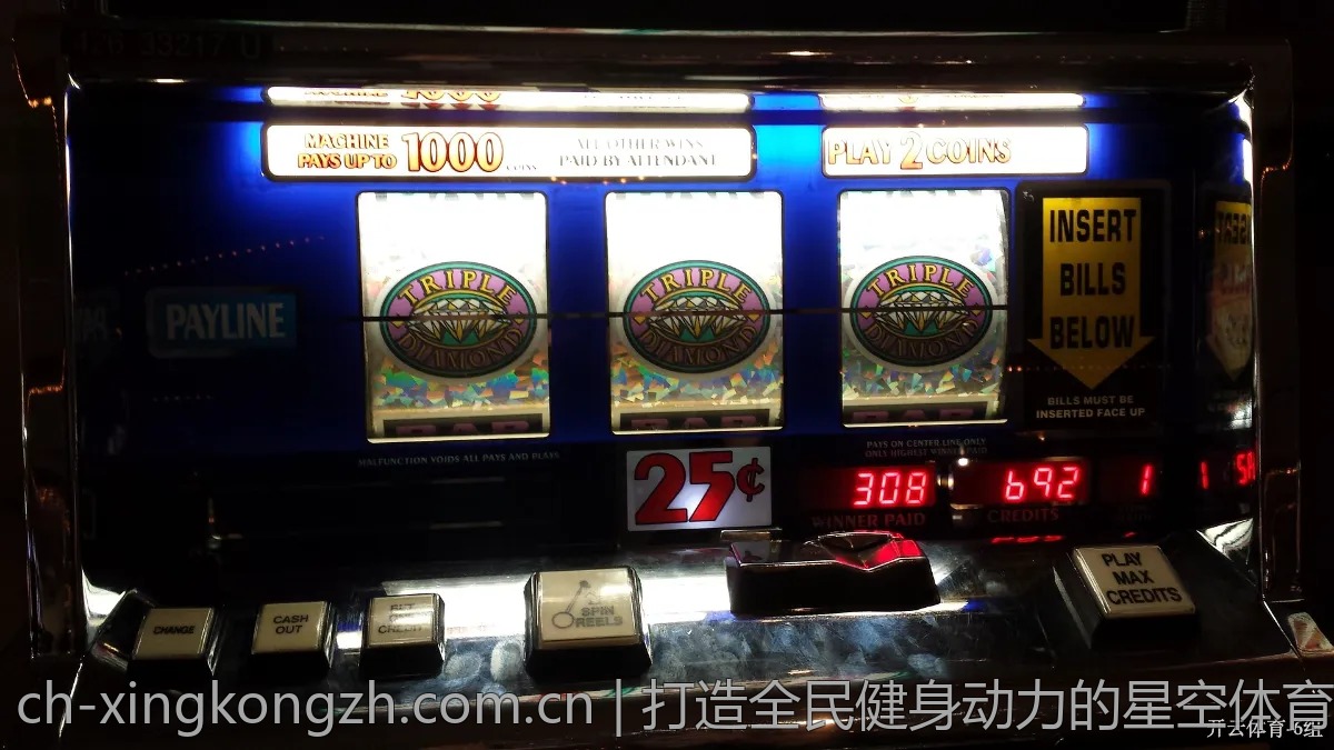 打造全民健身动力的星空体育平台引擎